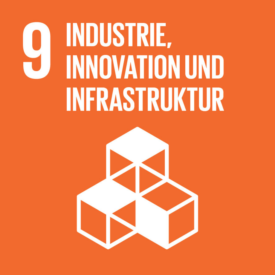SDG Ziel 9: Industrie, Innovation, Infrastruktur 