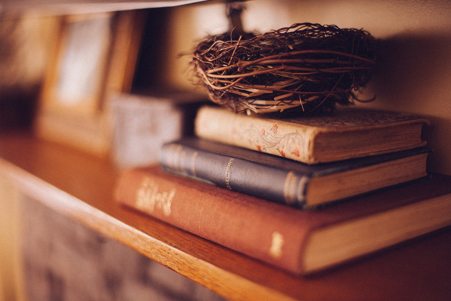 Bücher in einem Regal mit einem Nest darauf