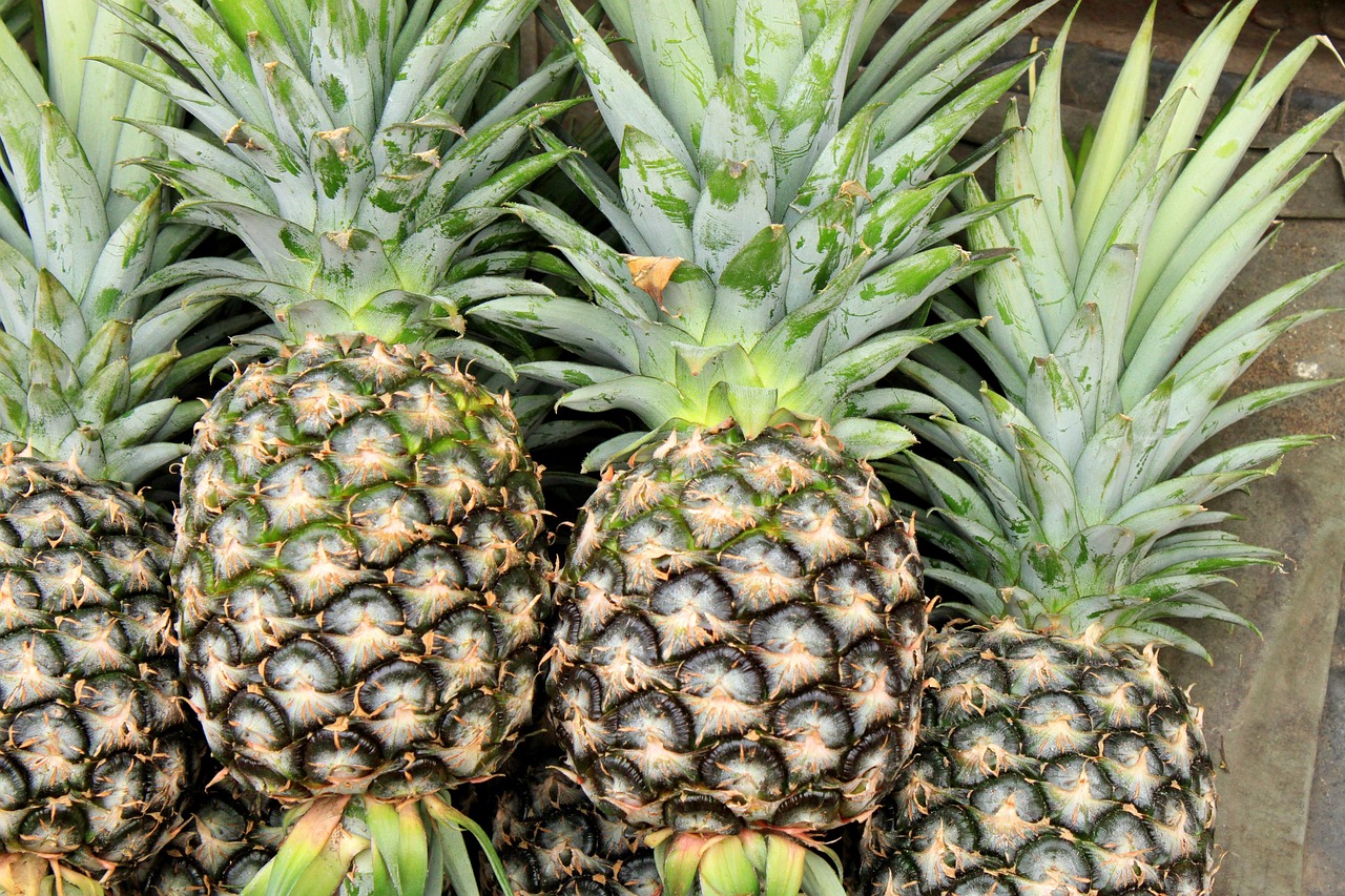 four pineapple